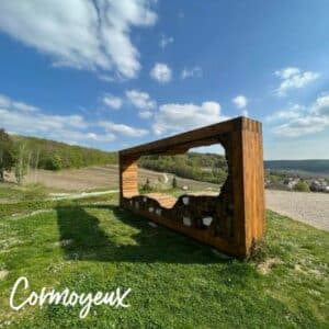 Cormoyeux
