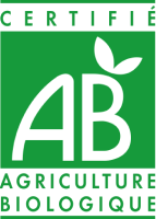 AB AB